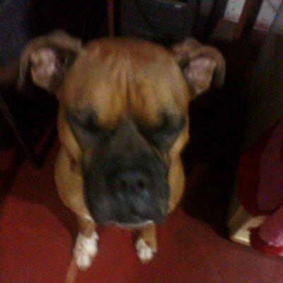 Christian Barrios - Twitter Profile Picture of Christian Barrios (@CJ7BM) on Twitter