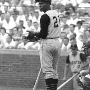 Profile Picture of Tim Warner (@TimWarn49516824) on Twitter