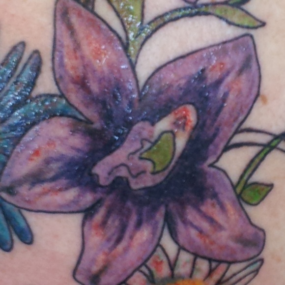 Profile Picture of Danielle Bayette (@dbayette) on Poshmark