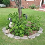 Profile Picture of Joshua Lybrand (@Joshua-Lybrand) on Facebook