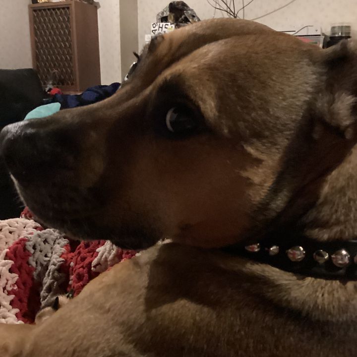 Profile Picture of Randy (@randlehawkins1) on Tiktok