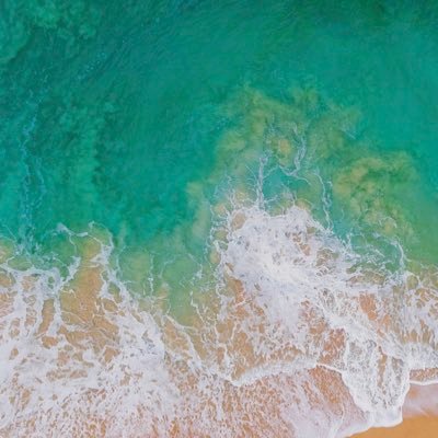 Profile Picture of Carlos Arreguin (@CarlosArregui17) on Twitter