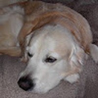 Profile Picture of Martin Winfield (@martin-winfield-9) on Quora