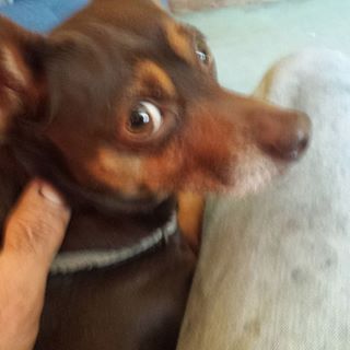 Profile Picture of Michael Brettelle (@michael.brettelle.9) on Facebook