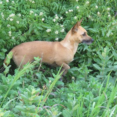 Profile Picture of Robert Yuen (@robertyuen37) on Twitter