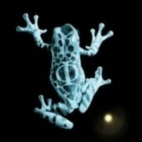 Profile Picture of Bella Lucas  (@bella-lucas-33) on Quora