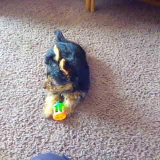 Profile Picture of Nancy BenFer (@nancy.benfer.5) on Facebook