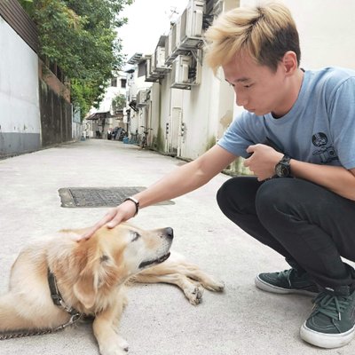 Profile Picture of Derek Ting (@DerekTing456) on Twitter