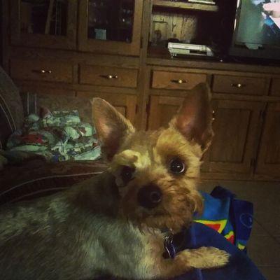 Profile Picture of Matthew Fain (@4017ad47b364490) on Twitter