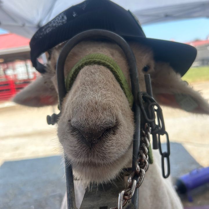 Profile Picture of Weston Nelson (@hotrod_west) on Tiktok