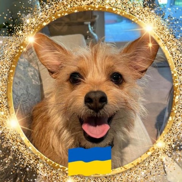 Profile Picture of Claudia Muller (@claugra) on Poshmark