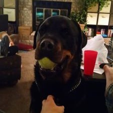 Profile Picture of Jack Hosek (@jhryan7) on Twitter