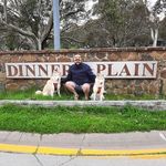 Profile Picture of Steve Grist (@bikersteve) on Instagram