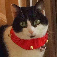 Profile Picture of Alexa Ross (@alexa-ross-3) on Quora