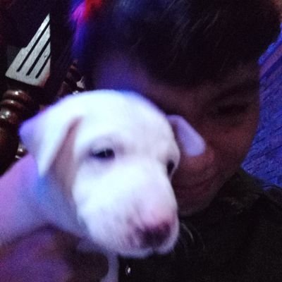 Profile Picture of Michael Morillo (@MichaelMorill17) on Twitter