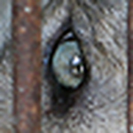 Profile Picture of Brian Su (@Brian-Su) on Flickr