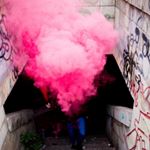 Carlos Miralles - Instagram Profile Picture of Carlos Miralles (@carlosmiralless) on Instagram