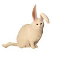 Profile Picture of Ling Bai (@ling-bai-30) on Quora