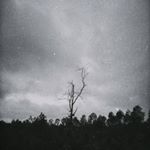 Profile Picture of Adrian Hess (@hess.adrian) on Instagram