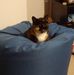 Profile Picture of Jan Bloomfield (@jan.bloomfield.73) on Facebook