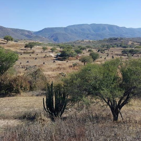 Profile Picture of Rosio Gutierrez (@rgutierr7) on Poshmark