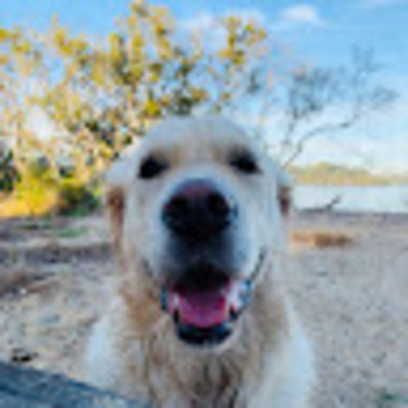 Profile Picture of Hui hui Lee (@huihuilee13) on Poshmark