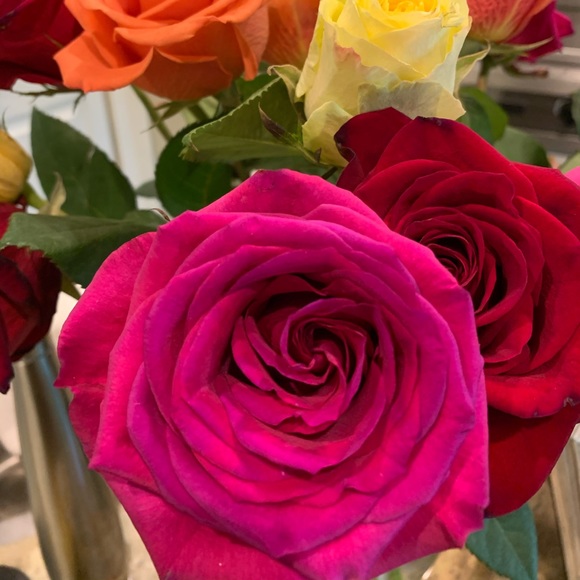 Profile Picture of Joey Masias (@joeymasias) on Poshmark