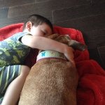 Lana Walsh Falcicchio - Instagram Profile Picture of Lana Walsh Falcicchio (@lwalsh22) on Instagram