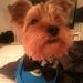 Profile Picture of Toby Terrell (@tobyterrell) on Pinterest