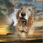 Profile Picture of Lisa Manville Wilkins (@lisa.m.wilkins.31) on Instagram