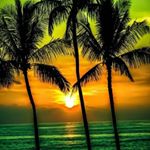 Profile Picture of alexa darling (@ayo_its_ya_bitch) on Instagram