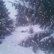 Profile Picture of Joann Wilson (@joannwilson6266) on Youtube