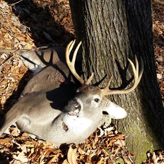 Profile Picture of Cedric Hawkins (@Cedric-Hawkins) on Facebook