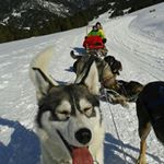 Profile Picture of Berta Miranda (@bertamirandagarcia) on Instagram