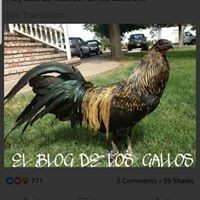 Profile Picture of Octavio Rivas (@octavio-rivas-4) on Quora