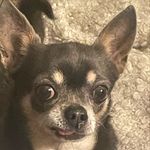 Profile Picture of Treena Clark (@treenaco) on Instagram