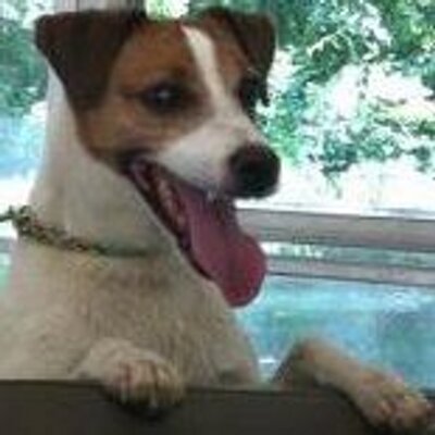 Profile Picture of Marshall.Beans (@MarshBeans) on Twitter