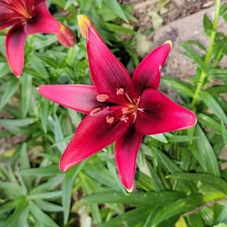 Profile Picture of Kathy Petersen Weber (@kathy.weber) on Instagram