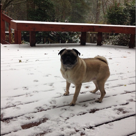 Profile Picture of Jake Mason (@jakemasom) on Poshmark