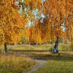 Profile Picture of marcy stephens (@marcy26899kkbfg) on Instagram