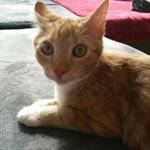 Profile Picture of Amy kehrer (@kehreramy) on Instagram