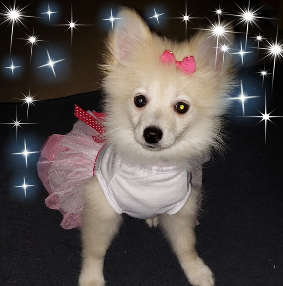 Profile Picture of Patricia daniel hatfield Davidson (@wdeopen38) on Poshmark