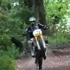 Profile Picture of Steve Weller (@@steveweller1) on Tiktok