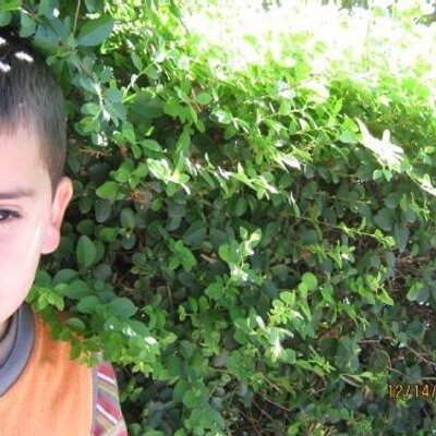 Profile Picture of Mauro Pereira (@mauropereira7) on Twitter