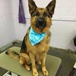 Profile Picture of Richard Palumbo (@palumbo.richard) on Instagram