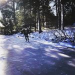 Profile Picture of David Sarraf (@davesarraf) on Instagram