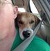 Profile Picture of Chris Capper Liebenthal (@chris.liebenthal) on Facebook