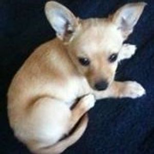 Profile Picture of Tony Gaitan (@tonester68) on Myspace