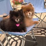 Profile Picture of Cindy (@reddickdavidson) on Instagram