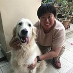 Adeline Chew - Instagram Profile Picture of Adeline Chew (@adeline.chew005) on Instagram